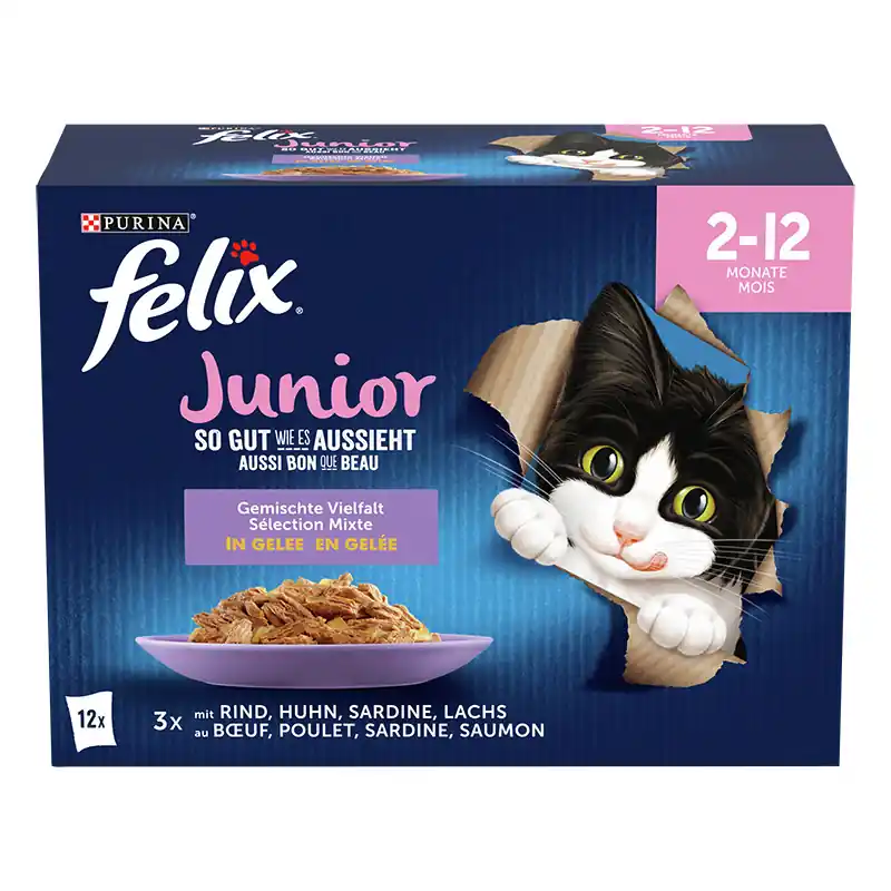 Begrenztes Angebot Felix So gut wie es aussieht Junior Geschmacksvielfalt 12 x 85 g